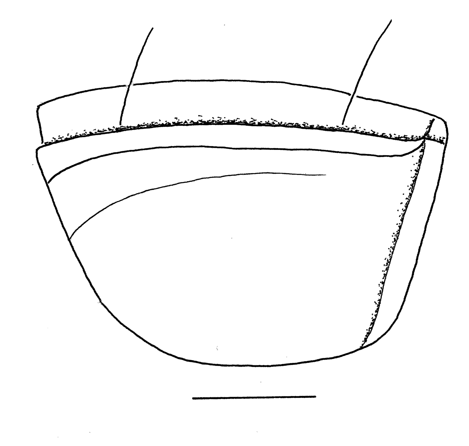 Baehr 2008, Fig. 5 · Left proepisternum