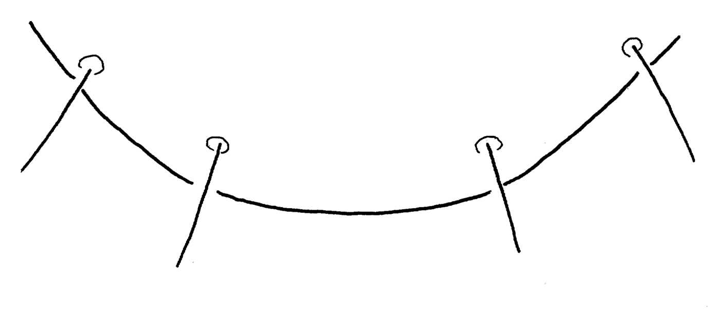 Baehr 2008, Fig. 15 · Apex of terminal sternum